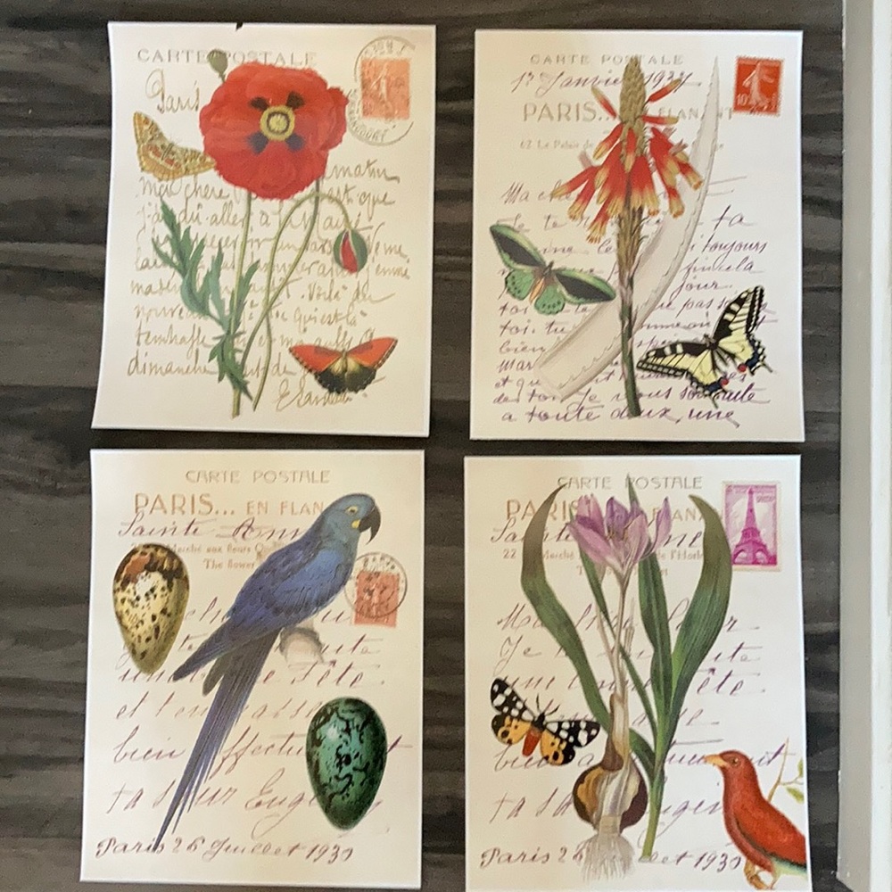 Set of 4 French Ephemera 11x14 Prints